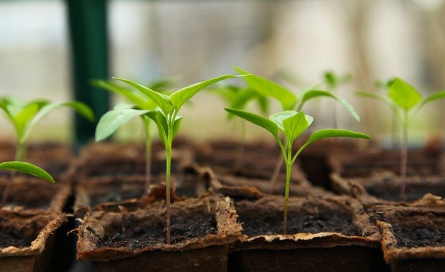 蔬菜大棚溫室氣象環境監測系統